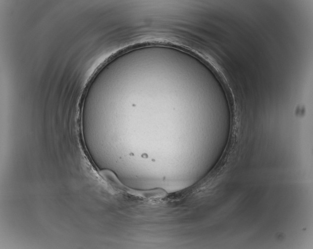 X0000115440799200911181522