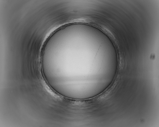 X0000115440800200911181522