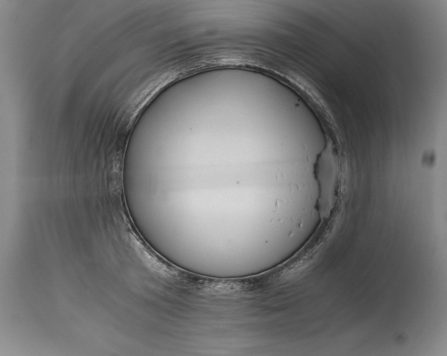 X0000115440801200911181522
