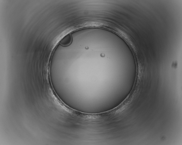 X0000115440802200911181522