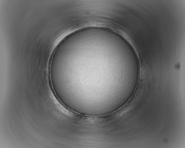 X0000115440803200911181522