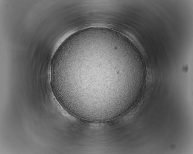 X0000115440804200911181522
