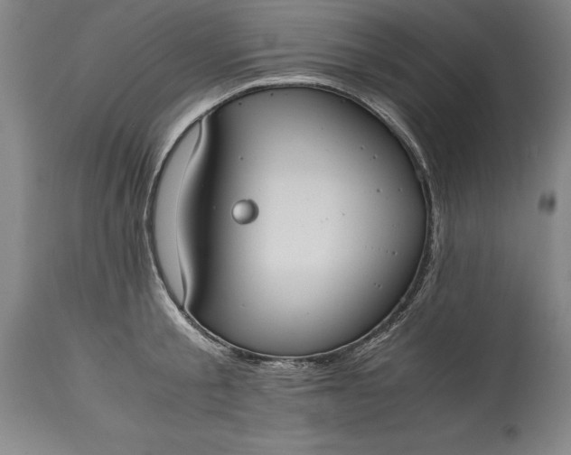 X0000115440805200911181522