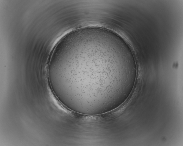 X0000115440806200911181522