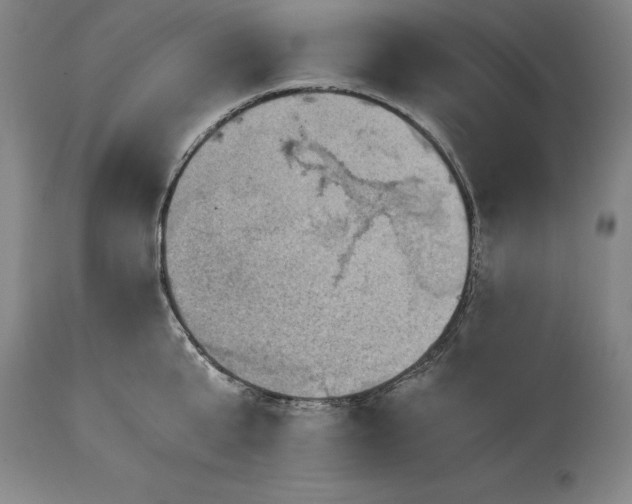 X0000115440807200911181522