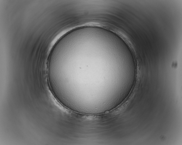 X0000115440808200911181522