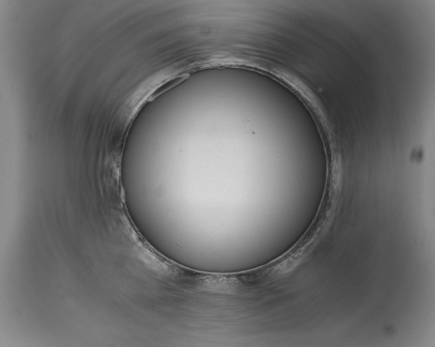 X0000115440809200911181522