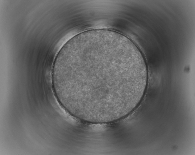X0000115440810200911181522