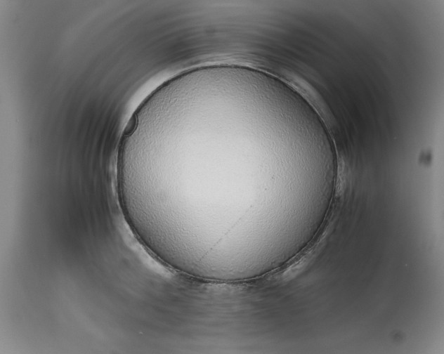 X0000115440812200911181522