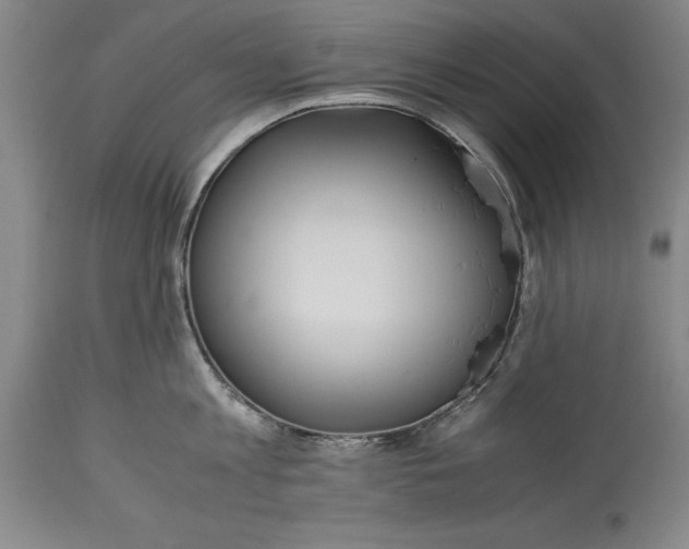 X0000115440813200911181522