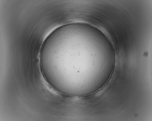 X0000115440814200911181522