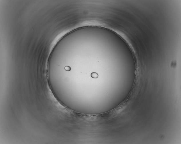 X0000115440815200911181522