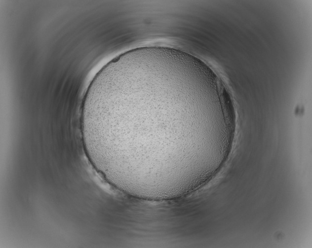 X0000115440816200911181522