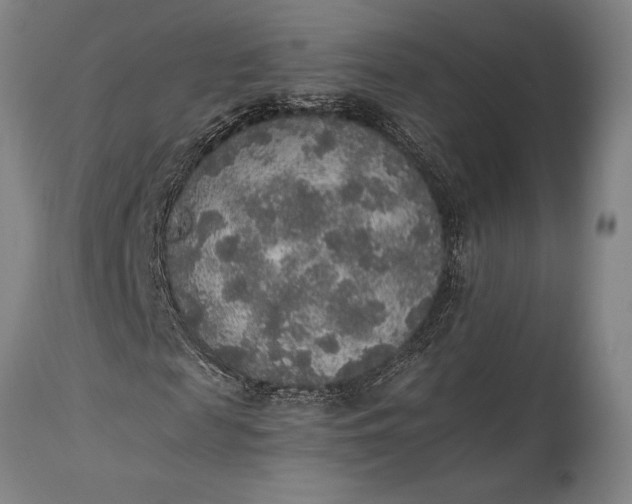 X0000115440817200911181521