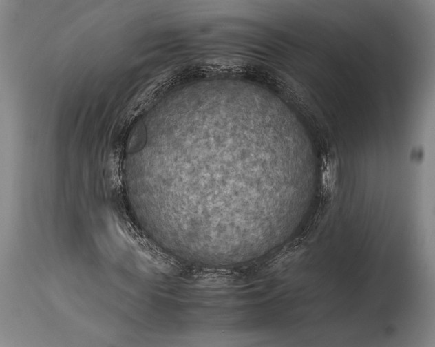 X0000115440819200911181521