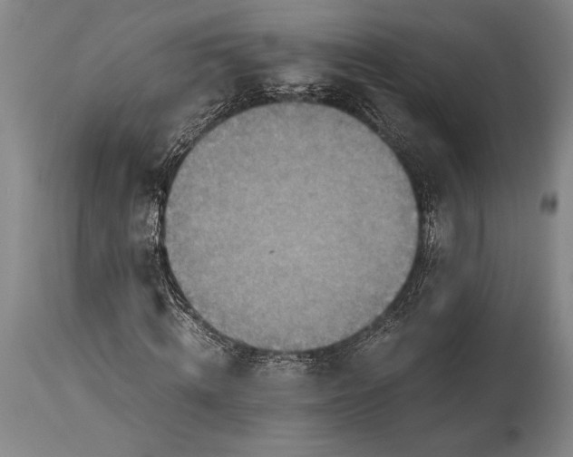 X0000115440820200911181521