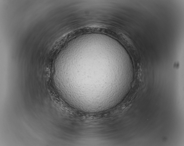 X0000115440821200911181521