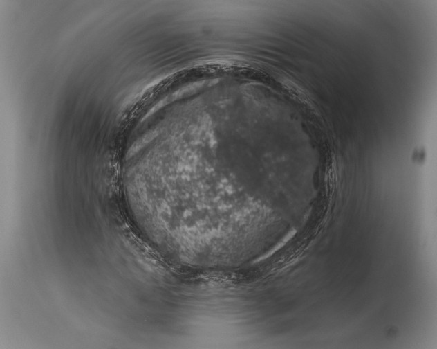 X0000115440822200911181521
