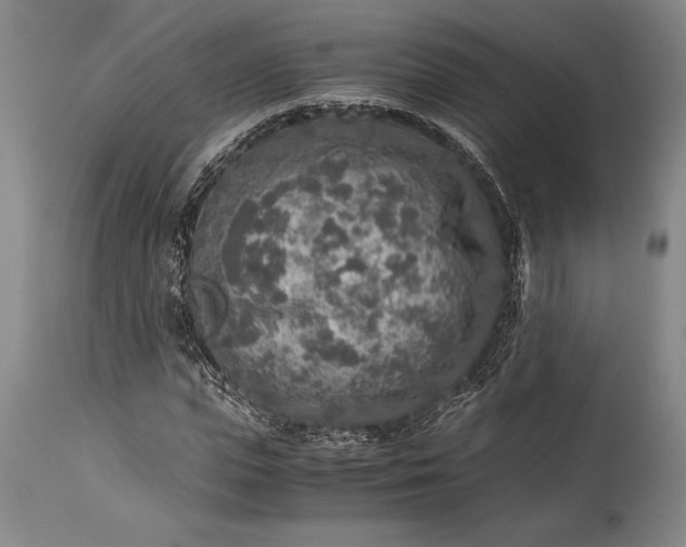 X0000115440823200911181521