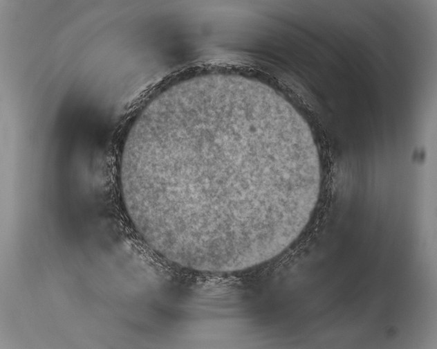 X0000115440824200911181521