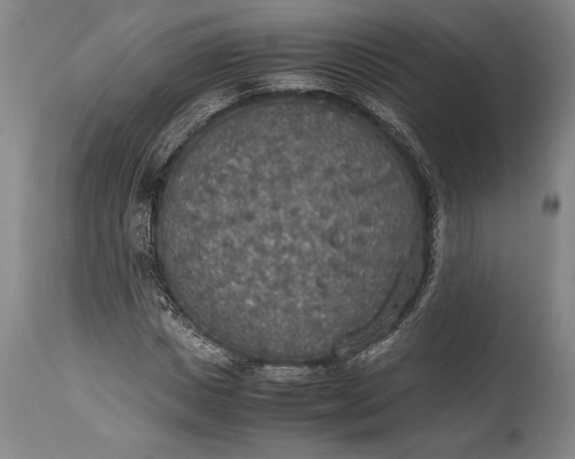 X0000115440825200911181521
