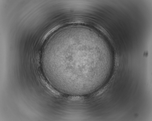 X0000115440826200911181521