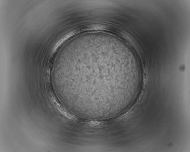 X0000115440827200911181521