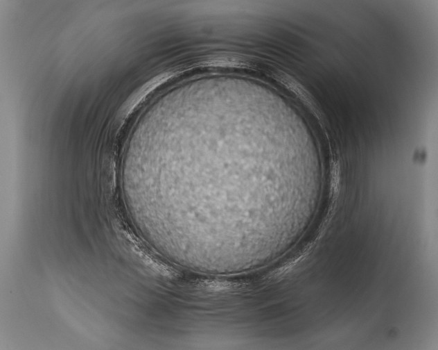 X0000115440829200911181521
