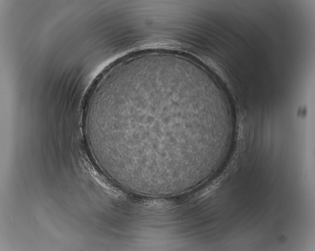 X0000115440830200911181521