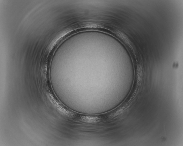X0000115440831200911181521