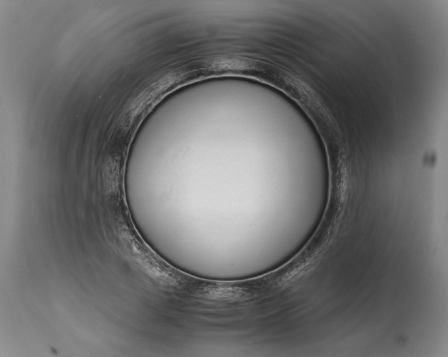 X0000115440833200911181521