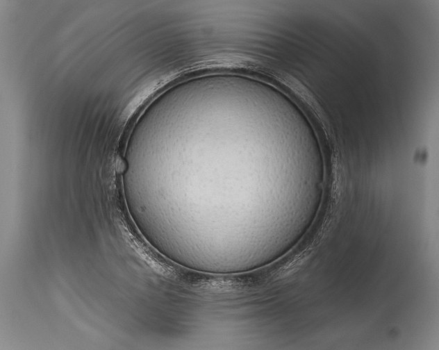 X0000115440834200911181521