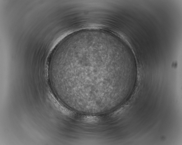 X0000115440835200911181521
