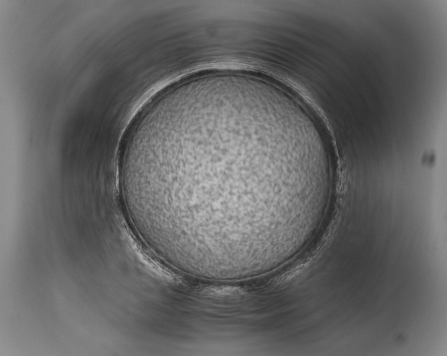X0000115440837200911181521