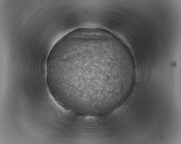 X0000115440839200911181521