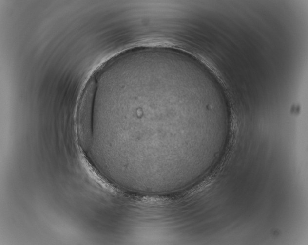 X0000115440840200911181521