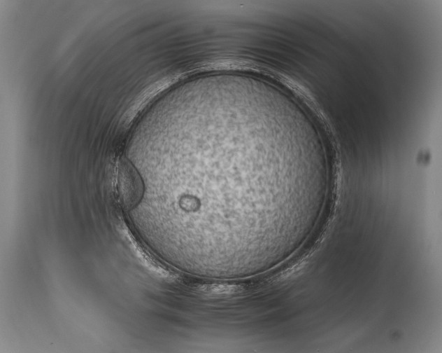 X0000115440841200911181521