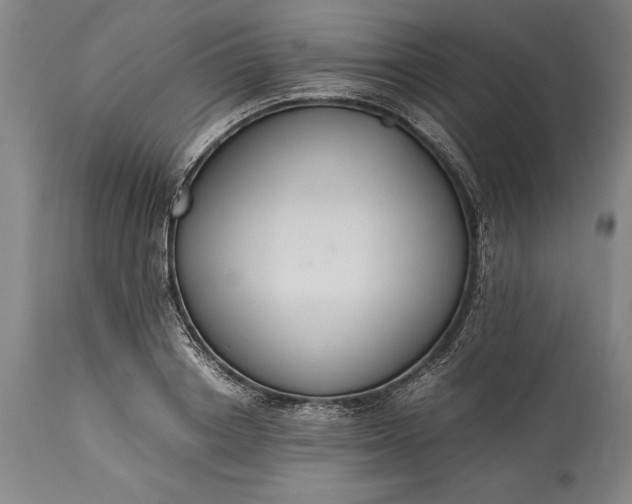 X0000115440842200911181521