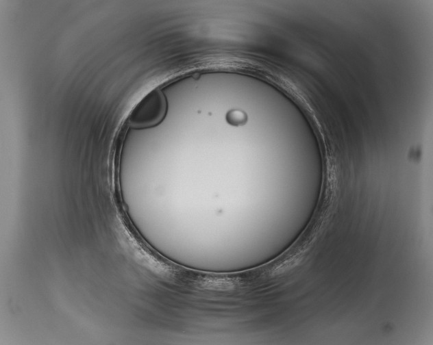 X0000115440843200911181521