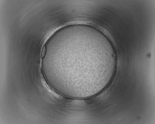 X0000115440844200911181521
