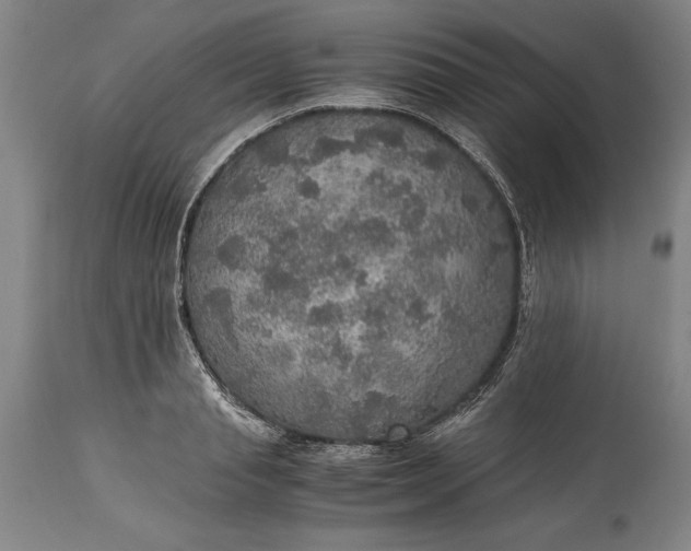 X0000115440845200911181521