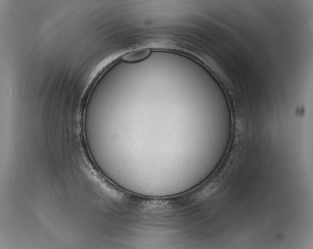 X0000115440846200911181521