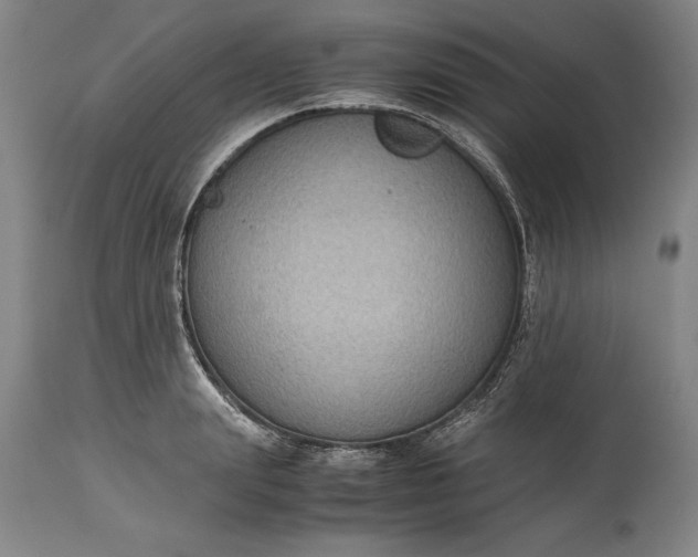 X0000115440847200911181521