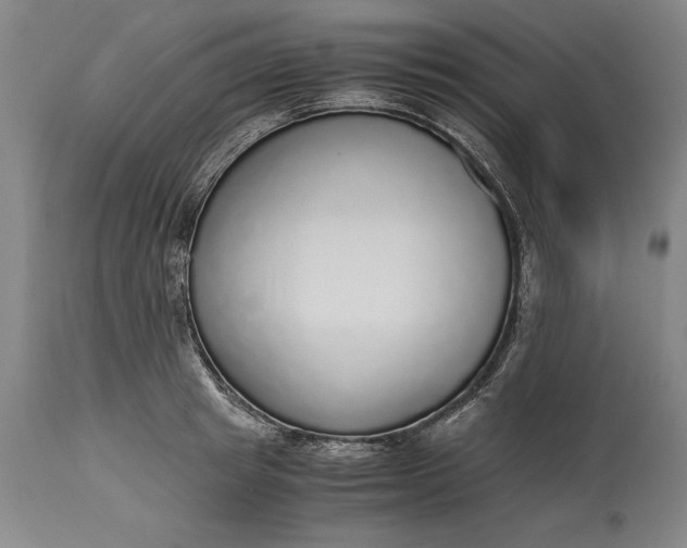 X0000115440849200911181522