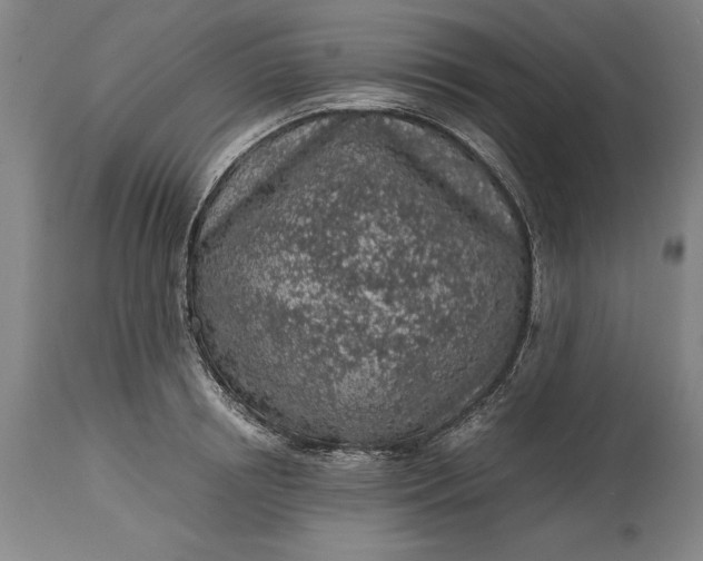 X0000115440850200911181522