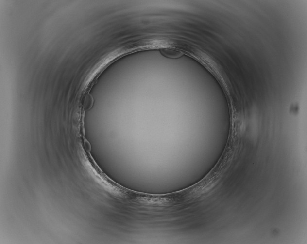X0000115440851200911181522