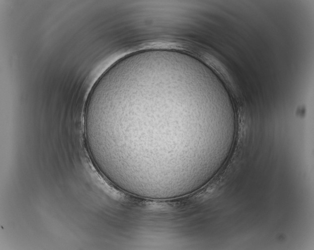 X0000115440852200911181522