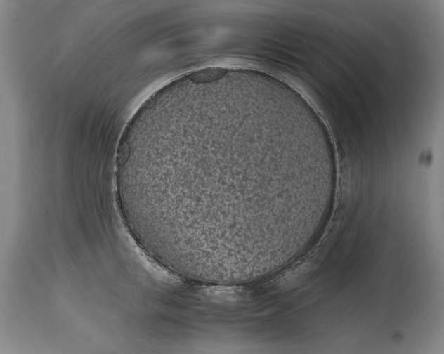 X0000115440853200911181522