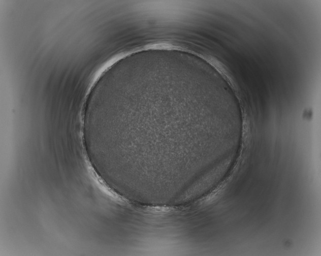 X0000115440854200911181522