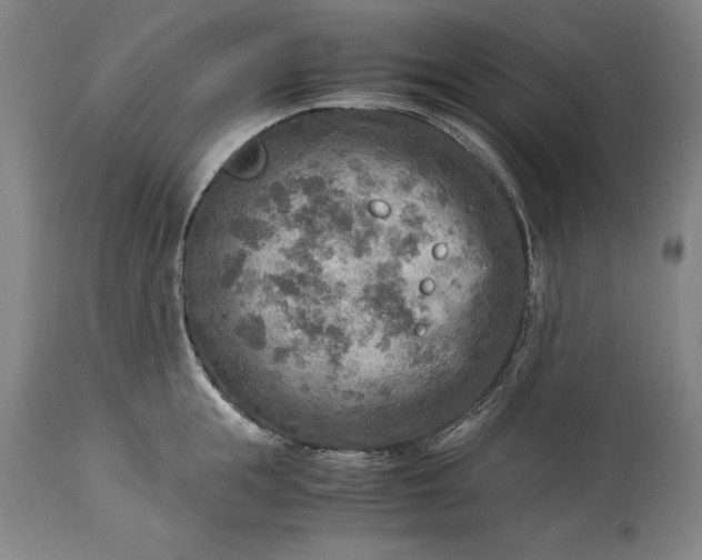 X0000115440855200911181522